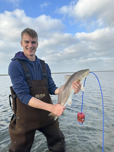 In pursuit of the perfect Red Fish In Matagorda 